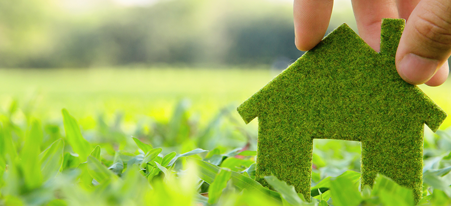 ECOBONUS casa: debutta il bonus del 36% per il verde 